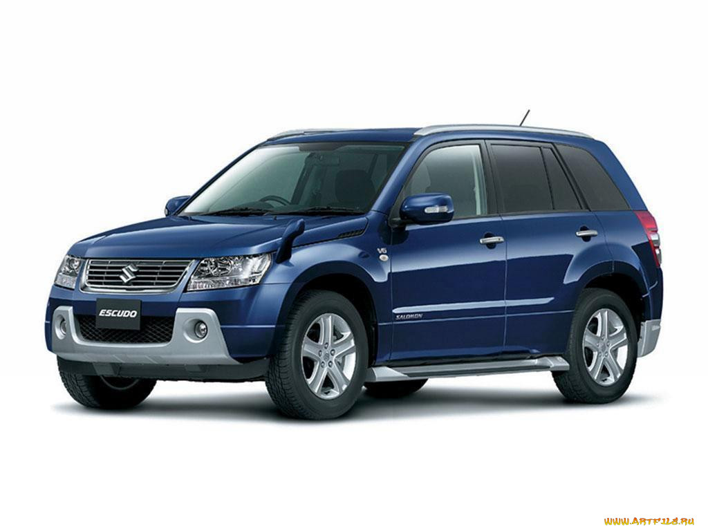 , suzuki